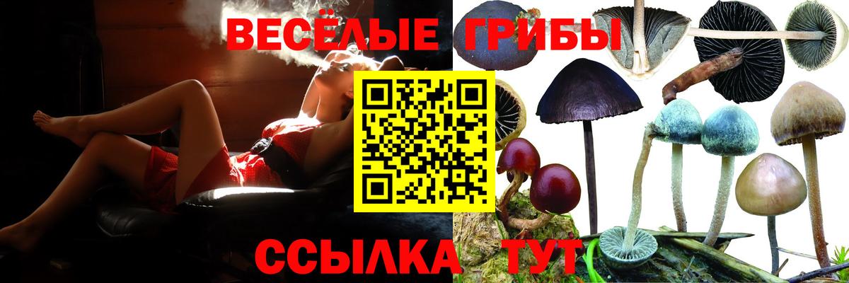 Солнечногорск  Псилоцибиновые грибы Psilocybe  Вход с VPN 