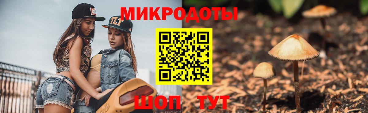 Галлюциногенные грибы мухоморы Солнечногорск